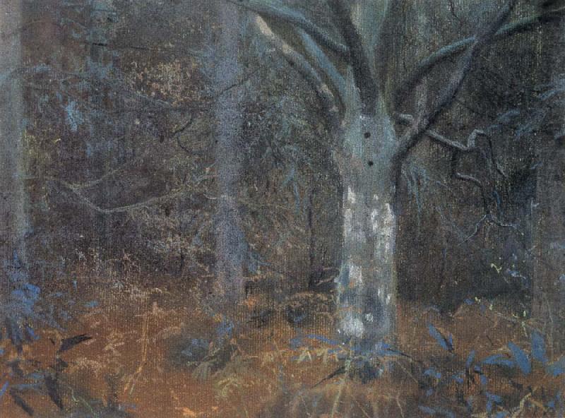 The Old Sycamore, William Stott of Oldham